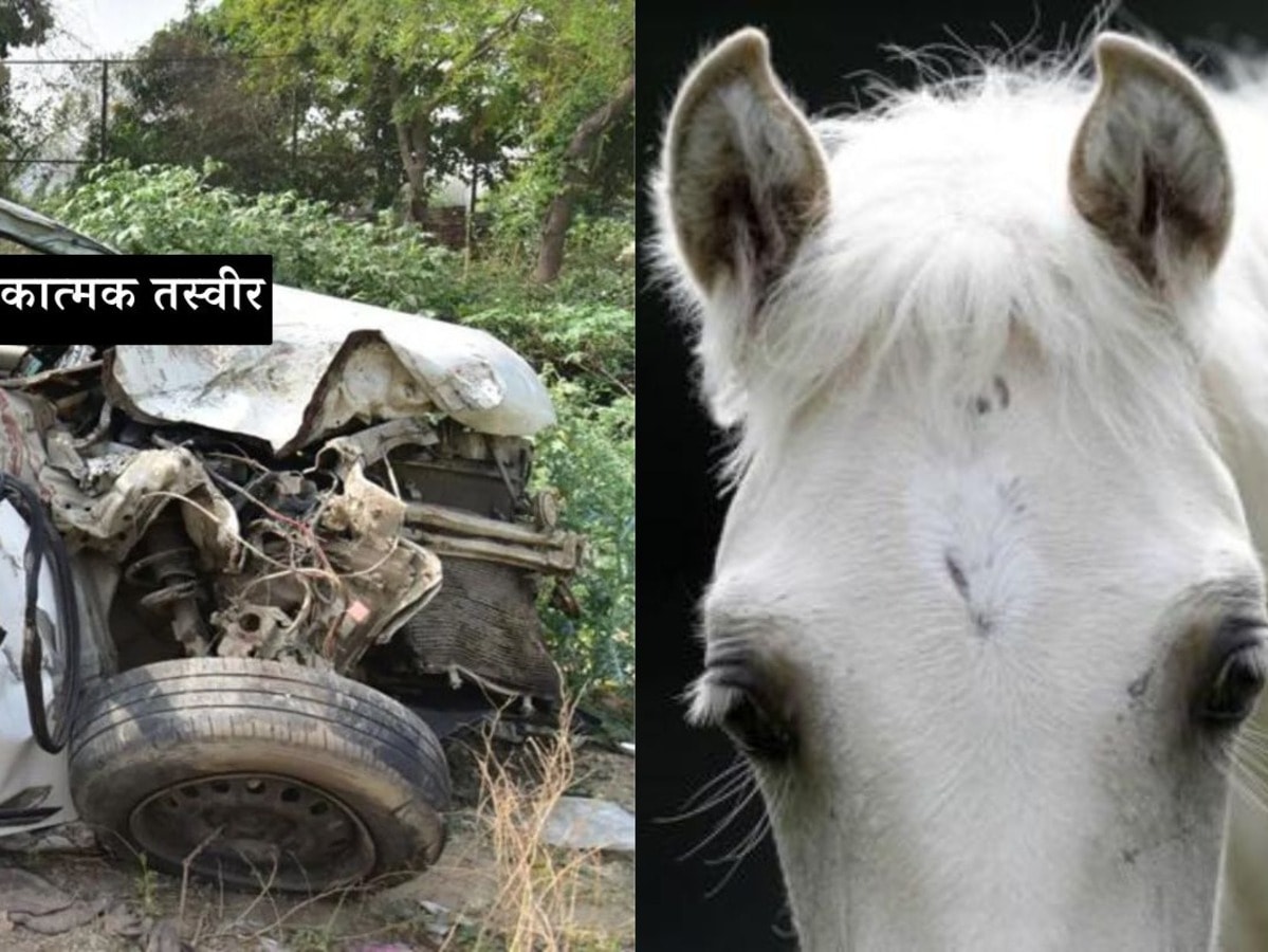 घोड़े से टकराकर खाई में गिरी कार, सिपाही की मौत, कोटा में कैसे हुआ यह हादसा?