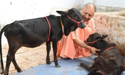 गोरखनाथ मंदिर में आज की सुबह हुई खास, नए मेहमानों को CM योगी ने दिया भवानी-भोलू का नाम