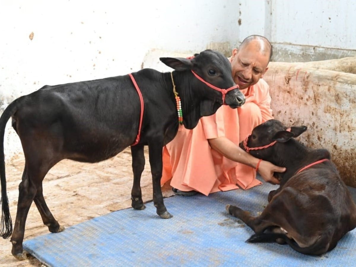 गोरखनाथ मंदिर में आज की सुबह हुई खास, नए मेहमानों को CM योगी ने दिया भवानी-भोलू का नाम गोरखनाथ मंदिर में आज की सुबह हुई खास, नए मेहमानों को CM योगी ने दिया भवानी-भोलू का नाम