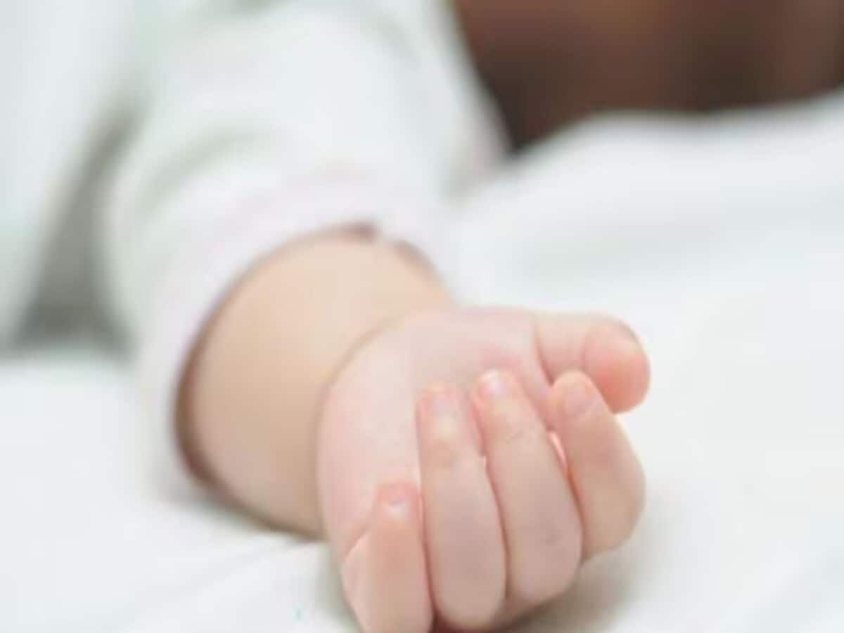 छत्तीसगढ़ में 3 साल के मासूम की गला दबाकर हत्या, झाड़ियों में मिला शव छत्तीसगढ़ में 3 साल के मासूम की गला दबाकर हत्या, झाड़ियों में मिला शव