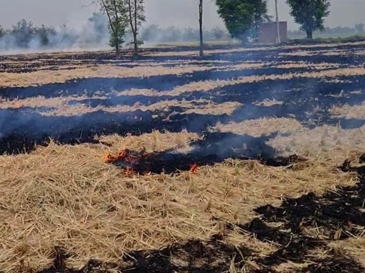 नोएडा में धड़ल्ले से जल रही पराली, जिम्मेदार अफसर बेखबर; लोगों का जीना हुआ मुश्किल नोएडा में धड़ल्ले से जल रही पराली, जिम्मेदार अफसर बेखबर; लोगों का जीना हुआ मुश्किल
