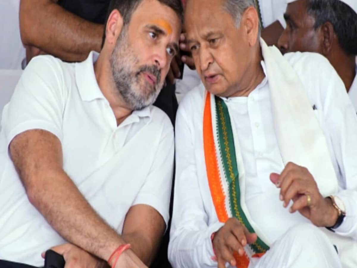 उपचुनाव के लिए 7 सीटों पर कांग्रेस ने उतारे प्रत्याशी, जानें किसको कहां से मिला टिकट, राजस्थान न्यूज़ उपचुनाव के लिए 7 सीटों पर कांग्रेस ने उतारे प्रत्याशी, जानें किसको कहां से मिला टिकट, राजस्थान न्यूज़