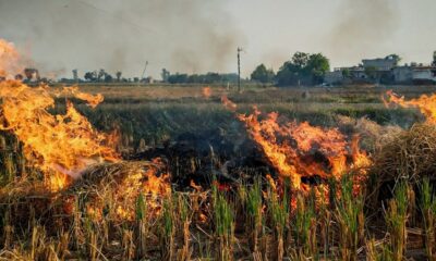 ISRO बता रहा है कहां आग लगी, आप मना कर रहे हो, हरियाणा-पंजाब पर भड़का सुप्रीम कोर्ट