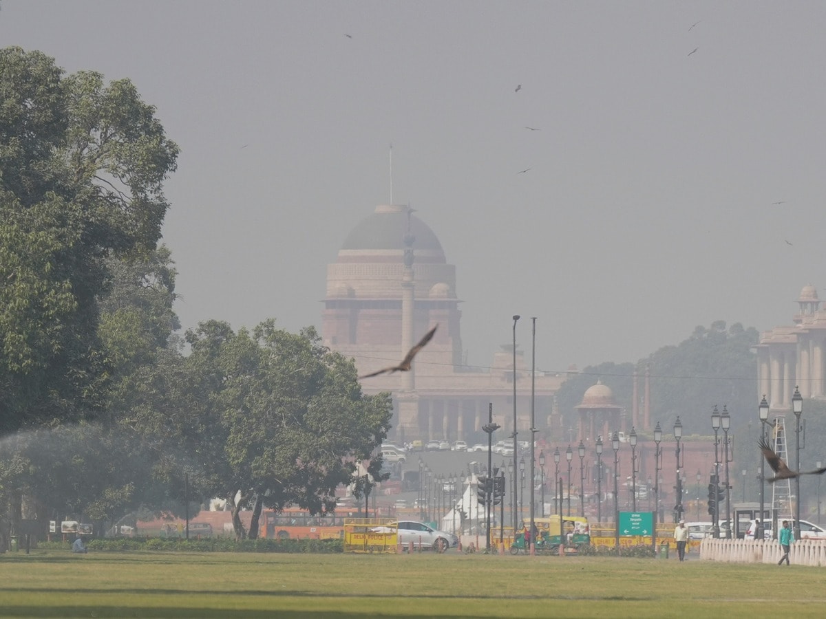 दिल्ली में गुलाबी ठंड की दस्तक, गिरने लगा पारा; आने वाले दिनों में क्या हाल दिल्ली में गुलाबी ठंड की दस्तक, गिरने लगा पारा; आने वाले दिनों में क्या हाल