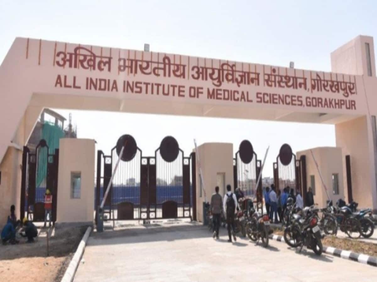 AIIMS गोरखपुर में बाहर से आएंगे डॉक्टर, 1 दिन का मिलेगा 5 हजार; कमी दूर करेंगे विजिटंग कंसल्टेंट AIIMS गोरखपुर में बाहर से आएंगे डॉक्टर, 1 दिन का मिलेगा 5 हजार; कमी दूर करेंगे विजिटंग कंसल्टेंट
