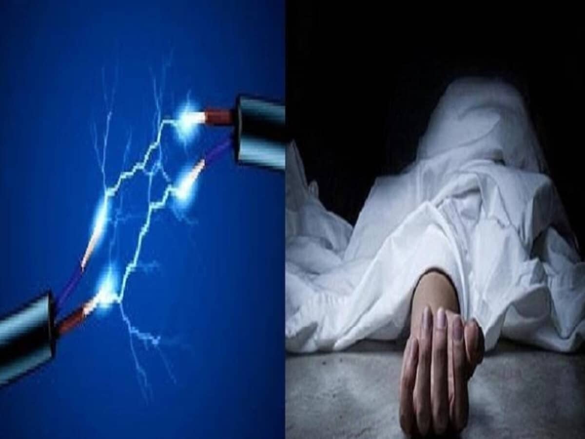 एमपी में मूर्ति विसर्जन के दौरान हुआ दर्दनाक हादसा; करंट लगने से तीन मौत, पांच घायल एमपी में मूर्ति विसर्जन के दौरान हुआ दर्दनाक हादसा; करंट लगने से तीन मौत, पांच घायल