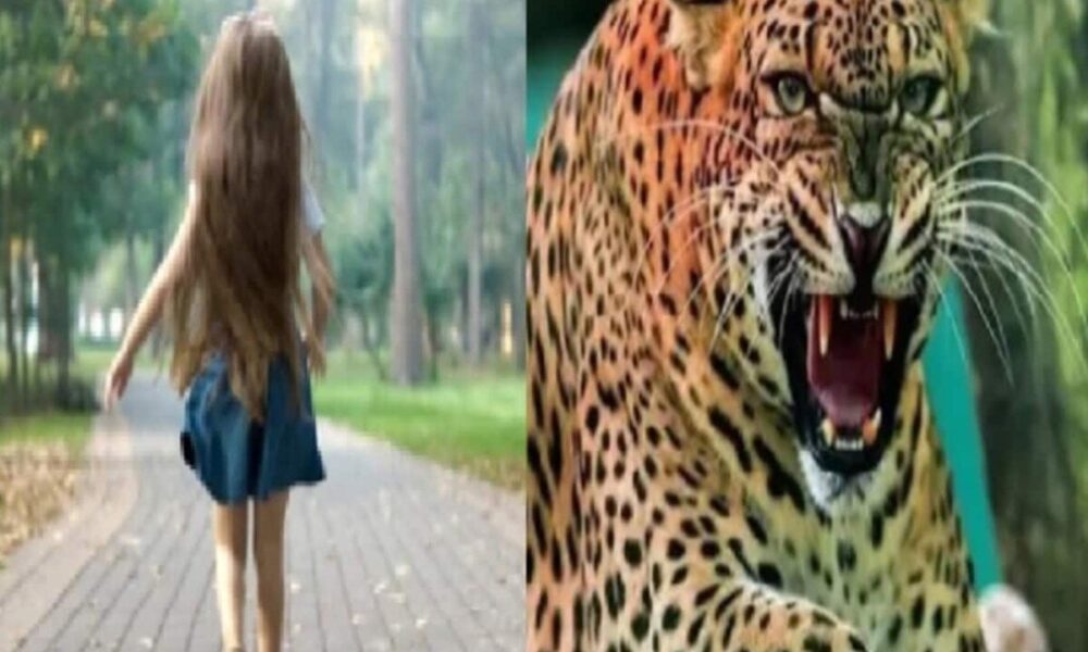 13 साल की लड़की की गुलदार ने जहां ली जान वहीं बनी मचान, टिहरी में कैमरा-पिंजरे से भी पकड़ने का प्लान