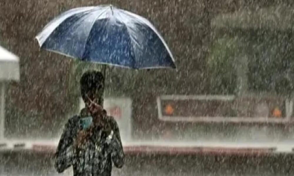 राजस्थान के इन जिलों में बारिश के आसार, मौसम पर पश्चिमी विक्षोभ का असर