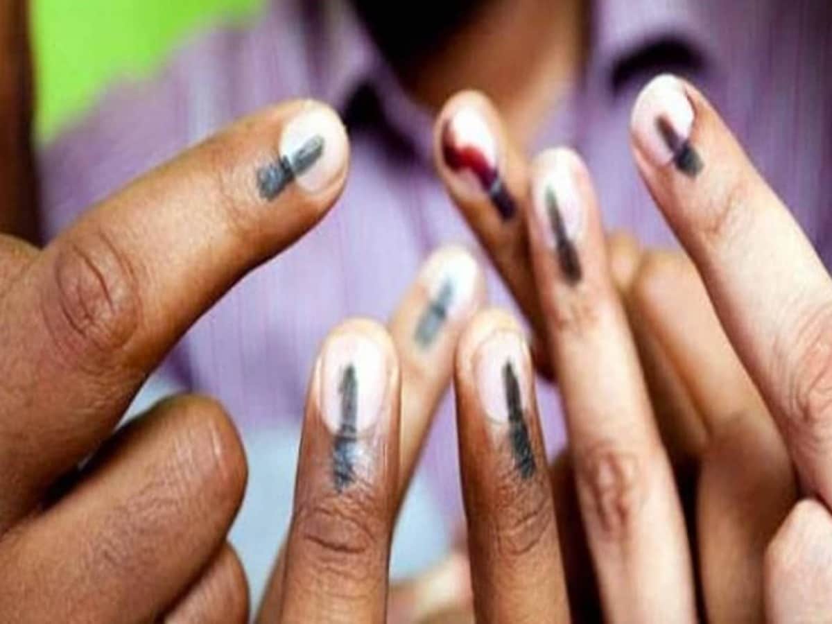 उत्तराखंड में निकाय चुनाव 2011 की जनगणना के आधार पर होंगे, प्रवर समिति की बैठक में हुआ फैसला उत्तराखंड में निकाय चुनाव 2011 की जनगणना के आधार पर होंगे, प्रवर समिति की बैठक में हुआ फैसला