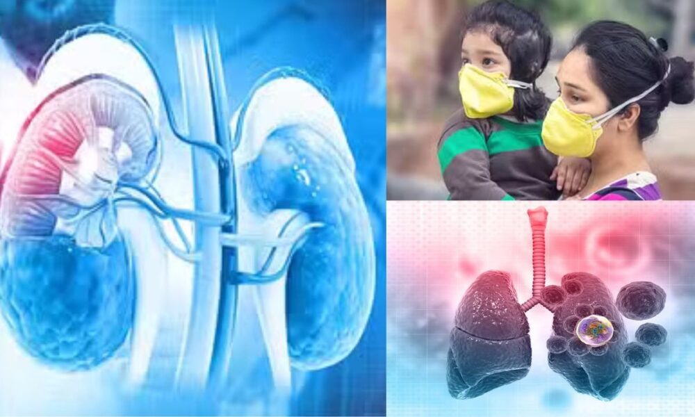 प्रदूषण से बढ़े बीमारियों के खतरे, जानें कैसे दिल, किडनी और फेफड़े हो सकते हैं प्रभावित….