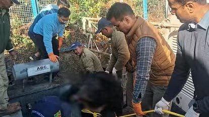 चमोली के STP प्लांट में भालुओं की करंट से मौत पर ईई सहित 3 के खिलाफ मुकदमा, अधिकारियों की लापरवाही के कारण हुआ था हादसा। चमोली के STP प्लांट में भालुओं की करंट से मौत पर ईई सहित 3 के खिलाफ मुकदमा, अधिकारियों की लापरवाही के कारण हुआ था हादसा।
