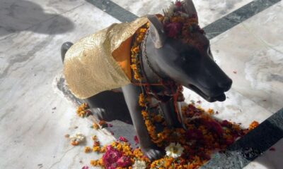 एक ऐसा मंदिर जहाँ किसी भगवान की नही बल्कि होती है कुत्तों की पूजा, जानें!