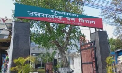 उत्तराखंड वन विभाग से प्रतीक्षा सूची अभ्यर्थियों के लिए सकारात्मक संकेत, जल्द हो सकता है आदेश जारी…