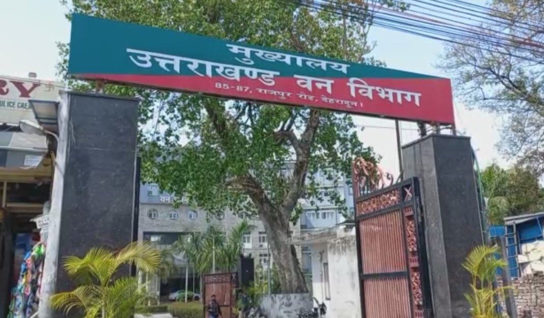 उत्तराखंड वन विभाग से प्रतीक्षा सूची अभ्यर्थियों के लिए सकारात्मक संकेत, जल्द हो सकता है आदेश जारी… उत्तराखंड वन विभाग से प्रतीक्षा सूची अभ्यर्थियों के लिए सकारात्मक संकेत, जल्द हो सकता है आदेश जारी…