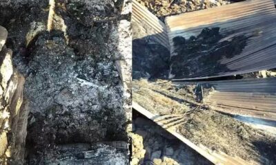 उत्तरकाशी के गोरसाली गांव में गौशाला में आग लगने से 7 पशुओं की की जिंदा जलने से मौत।