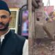 सपा सांसद जियाउर रहमान बर्क की बढ़ीं मुश्किलें, कल कटा था बिजली कनेक्शन आज अवैध कब्जे पर चला बुलडोजर…