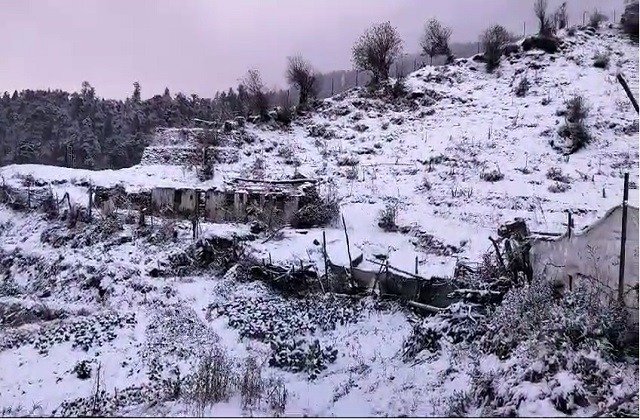 उत्तराखंड में बदला मौसम का मिजाज, पर्वतीय इलाकों में बारिश और बर्फबारी की संभावना… उत्तराखंड में बदला मौसम का मिजाज, पर्वतीय इलाकों में बारिश और बर्फबारी की संभावना…