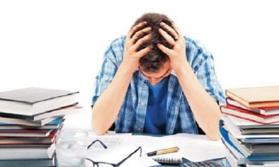 बोर्ड परीक्षा के लिए शिक्षा विभाग का बड़ा कदम, परीक्षा में छात्रों के तनाव कम करने के लिए जारी किया टोल फ्री नंबर।