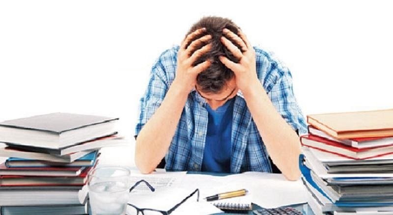 बोर्ड परीक्षा के लिए शिक्षा विभाग का बड़ा कदम, परीक्षा में छात्रों के तनाव कम करने के लिए जारी किया टोल फ्री नंबर। बोर्ड परीक्षा के लिए शिक्षा विभाग का बड़ा कदम, परीक्षा में छात्रों के तनाव कम करने के लिए जारी किया टोल फ्री नंबर।