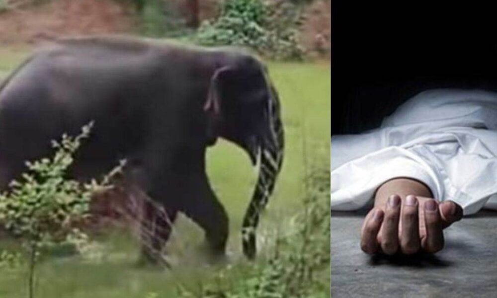 हाथी के हमले से ग्रामीण की मौत , खोह नदी के किनारे मिला शव….