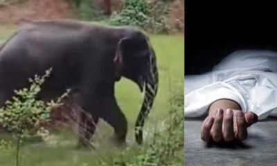 हाथी के हमले से ग्रामीण की मौत , खोह नदी के किनारे मिला शव….
