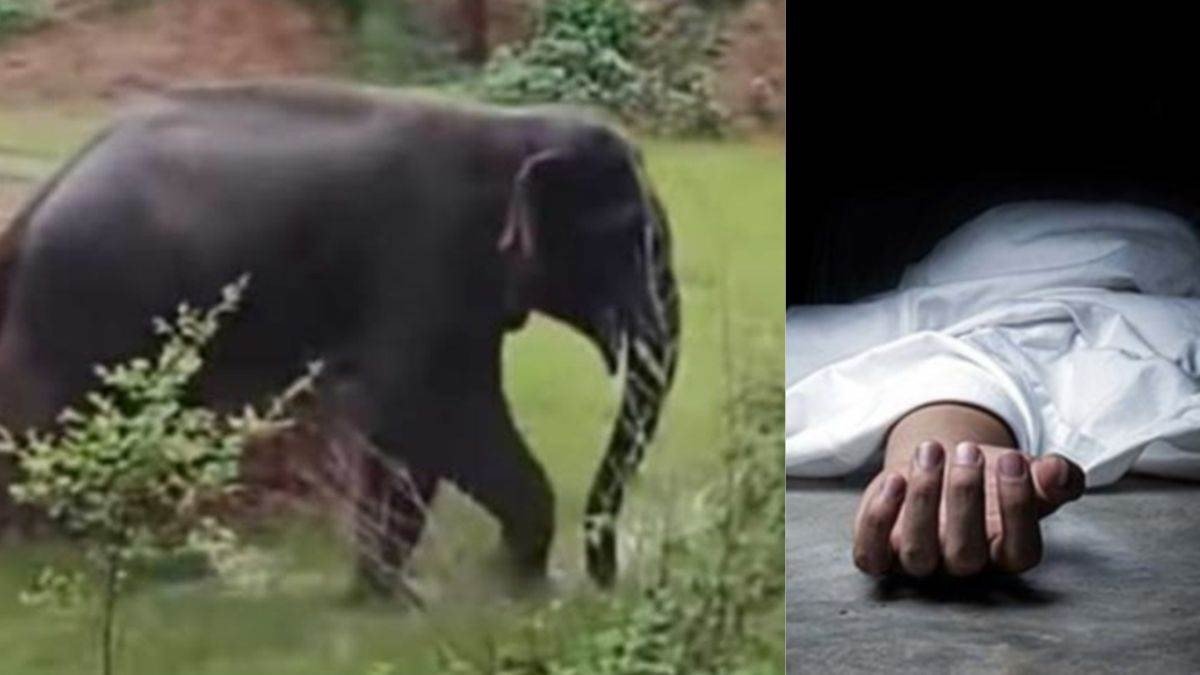 हाथी के हमले से ग्रामीण की मौत , खोह नदी के किनारे मिला शव….