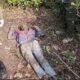 लापता व्यापारी का शव पंतनगर बाईपास के पास बरामद, पुलिस और वन विभाग जांच में जुटे…