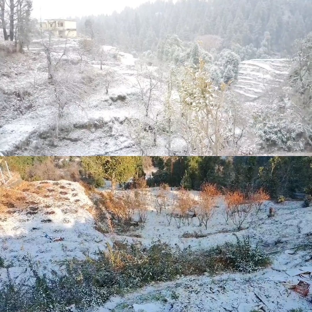 नैनीताल, धानाचुली और मुक्तेश्वर में हल्की बर्फबारी, पर्यटकों और किसानों मे खुशी की लहर। नैनीताल, धानाचुली और मुक्तेश्वर में हल्की बर्फबारी, पर्यटकों और किसानों मे खुशी की लहर।