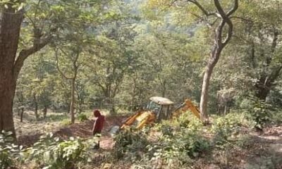 उत्तराखंड: पेड़ कटान मामले में मंत्री के बेटे पर कार्रवाई तय, वन मंत्री ने दिए सख्त निर्देश !