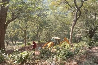 उत्तराखंड: पेड़ कटान मामले में मंत्री के बेटे पर कार्रवाई तय, वन मंत्री ने दिए सख्त निर्देश !