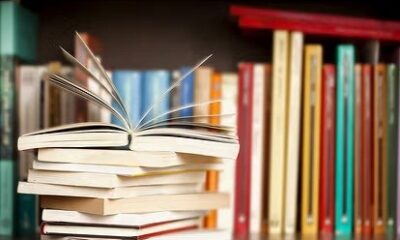 10वीं कक्षा में सरकारी स्कूलों में अब 10 विषय होंगे अनिवार्य, एससीईआरटी ने तैयार किया ड्राफ्ट…