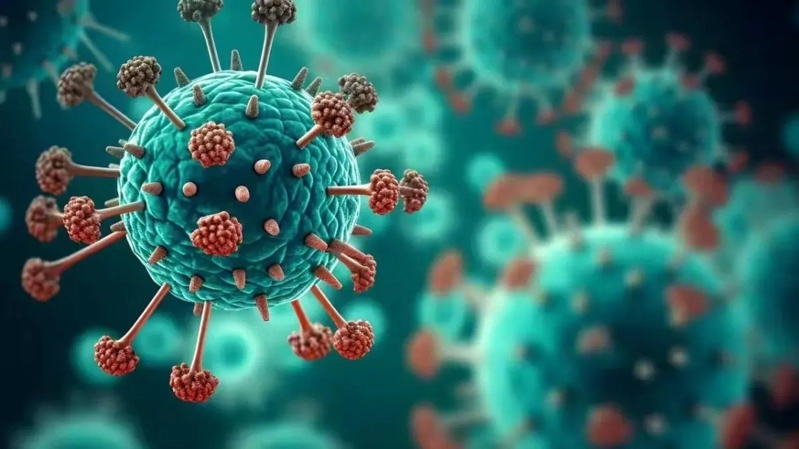 HMPV Virus Alert: देशभर में HMPV के बढ़ते मामले, महाराष्ट्र में सबसे ज्यादा… HMPV Virus Alert: देशभर में HMPV के बढ़ते मामले, महाराष्ट्र में सबसे ज्यादा…