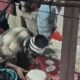 वीडियो: बागेश्वर में उत्तरायणी मेले में थूककर रोटियां बनाने का वीडियो वायरल, पुलिस ने दो आरोपियों को किया गिरफ्तार…