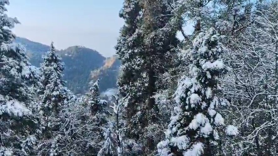 उत्तराखंड की वादियों में बर्फबारी का जादू, पहाड़ों पर जमी सफेद चादर…