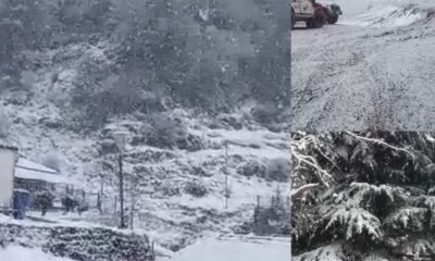 पहाड़ों पर फिर छाई बर्फ की सफेद चादर, इन जिलों में बर्फबारी और बारिश की संभावना…