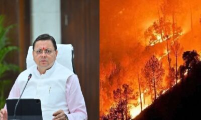 15 फरवरी से शुरू हो रहा फायर सीजन, अधिकारियों को दिए गए दिशा-निर्देश…