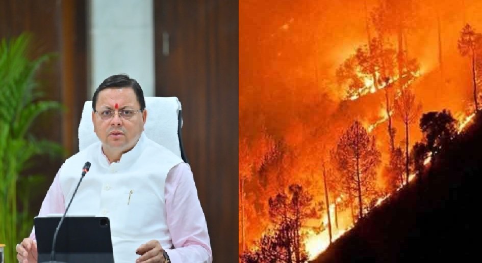 15 फरवरी से शुरू हो रहा फायर सीजन, अधिकारियों को दिए गए दिशा-निर्देश… 15 फरवरी से शुरू हो रहा फायर सीजन, अधिकारियों को दिए गए दिशा-निर्देश…