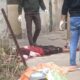 हरिद्वार के मंगलौर में मिला खून से लथपथ युवक का शव, इलाके में मचा हड़कंप…