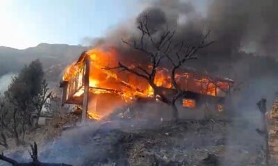 त्यूणी के रडू गांव में आग का कहर, तीन परिवारों के घर पूरी तरह जलकर राख…