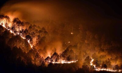 राज्य सरकार का बड़ा फैसला, फायर वॉचर को मिलेगा अब दस लाख रुपये तक के इंश्योरेंस कवर…