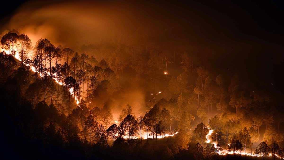 राज्य सरकार का बड़ा फैसला, फायर वॉचर को मिलेगा अब दस लाख रुपये तक के इंश्योरेंस कवर… राज्य सरकार का बड़ा फैसला, फायर वॉचर को मिलेगा अब दस लाख रुपये तक के इंश्योरेंस कवर…