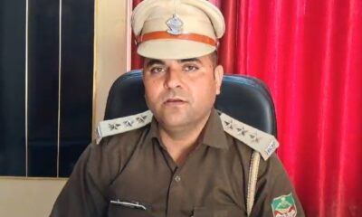 सोशल मीडिया पर वन्यजीव वीडियो वायरल करने पर वन विभाग करेगा कार्रवाई , विशेष टीम गठित….
