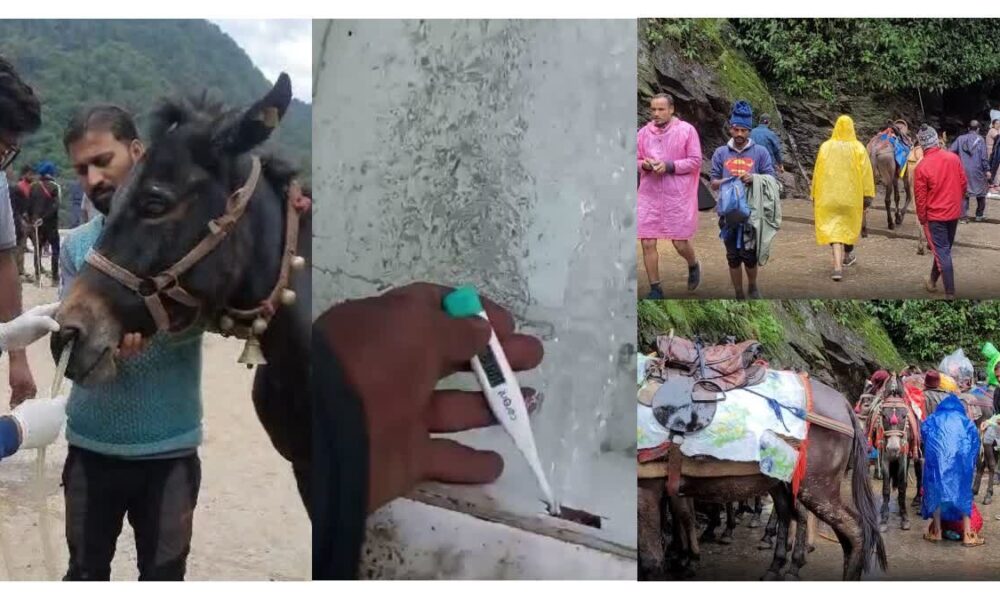 केदारनाथ यात्रा में बीमार घोड़ा-खच्चरों के लिए क्वारंटीन सेंटर , कोटमा और फाटा में बनाई गई खास व्यवस्था….