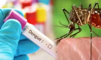 डेंगू संक्रमण को लेकर देहरादून में अलर्ट , CMO ने जारी किए जरूरी निर्देश…