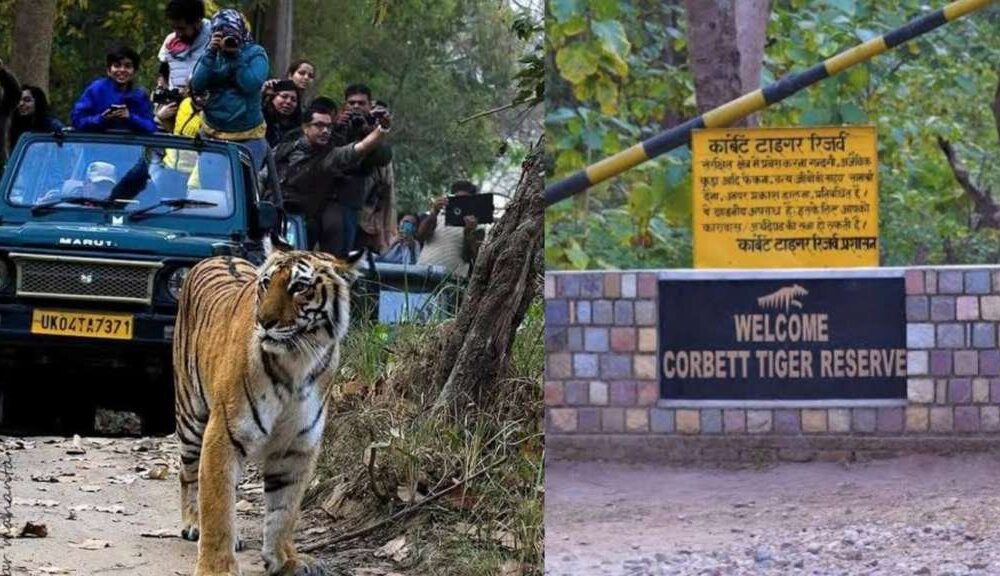 जिम कॉर्बेट नेशनल पार्क ने कमाई के सारे रिकॉर्ड तोड़े , 2024-25 में कमाए करीब 30 करोड़ रुपये…..