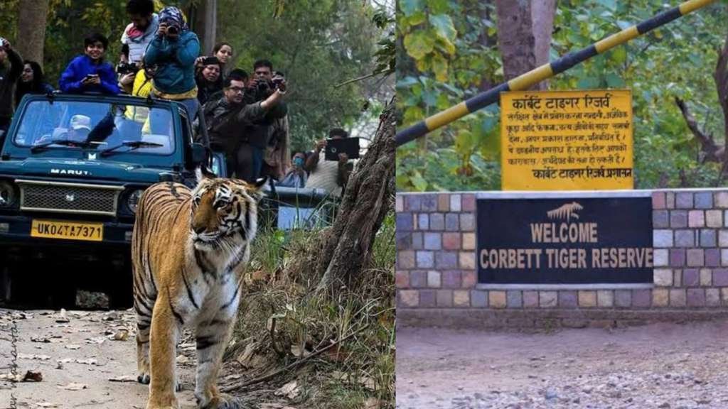 जिम कॉर्बेट नेशनल पार्क ने कमाई के सारे रिकॉर्ड तोड़े , 2024-25 में कमाए करीब 30 करोड़ रुपये….. जिम कॉर्बेट नेशनल पार्क ने कमाई के सारे रिकॉर्ड तोड़े , 2024-25 में कमाए करीब 30 करोड़ रुपये…..