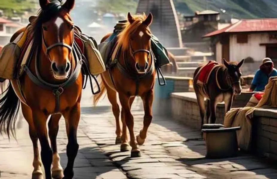 उत्तराखंड में इक्वाइन इन्फ्लुएंजा के दो नए मामले , अब तक 55 घोड़े संक्रमित…..