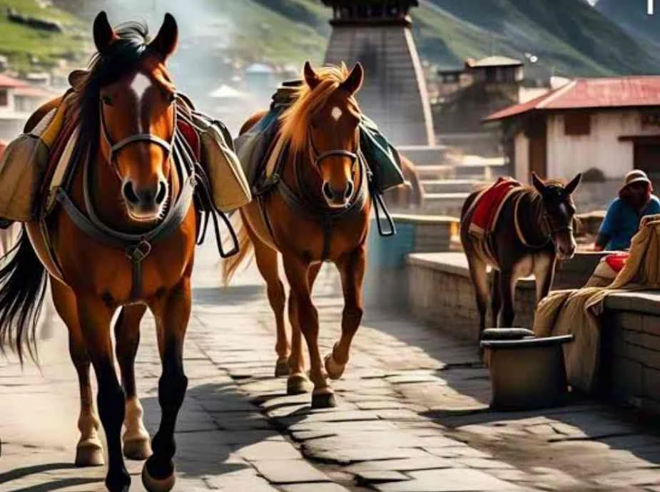 उत्तराखंड में इक्वाइन इन्फ्लुएंजा के दो नए मामले , अब तक 55 घोड़े संक्रमित….. उत्तराखंड में इक्वाइन इन्फ्लुएंजा के दो नए मामले , अब तक 55 घोड़े संक्रमित…..