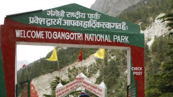 गंगोत्री नेशनल पार्क में आज से पर्यटकों का आगमन शुरू , गोमुख और गर्तांग गली ट्रैक मिलेगा अनुभव….. गंगोत्री नेशनल पार्क में आज से पर्यटकों का आगमन शुरू , गोमुख और गर्तांग गली ट्रैक मिलेगा अनुभव…..