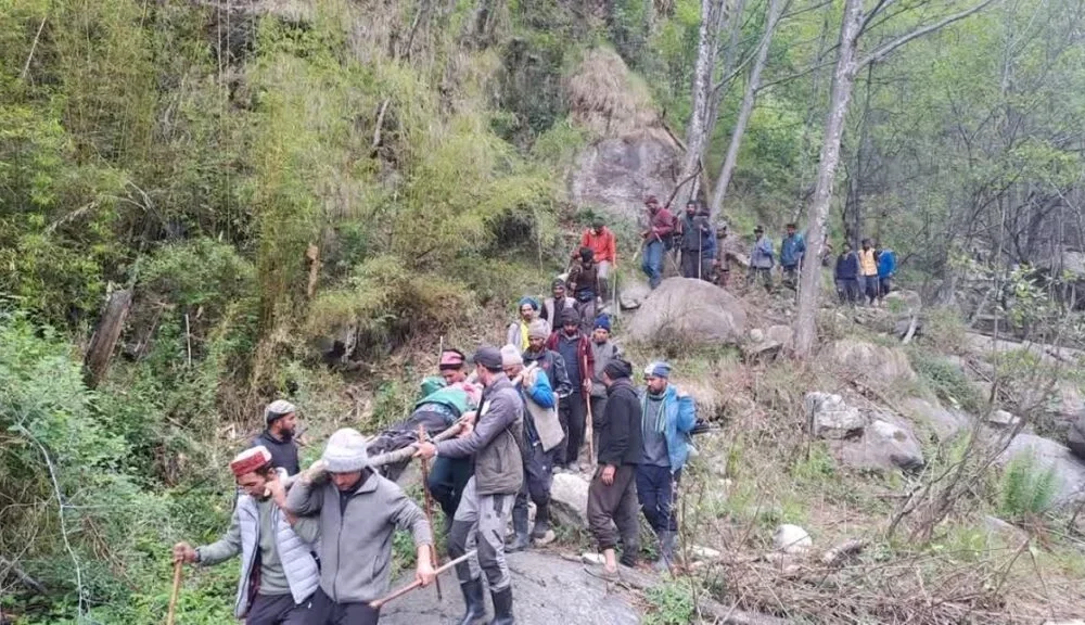 मुनस्यारी में बीमार को डोली से लाना पड़ा अस्पताल, विकास के दावों को पहाड़ों की हकीकत ने किया उजागर……..